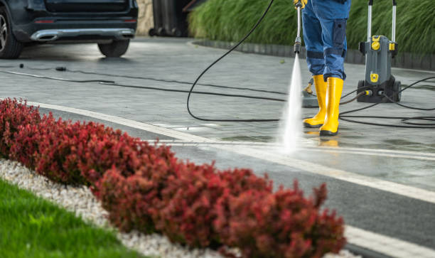 Best Solar Panel Cleaning  in Morada, CA